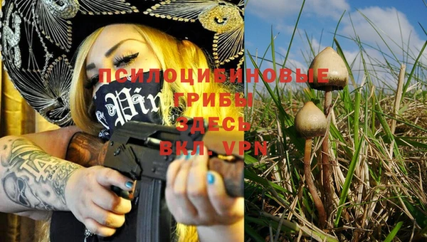 spice Арсеньев