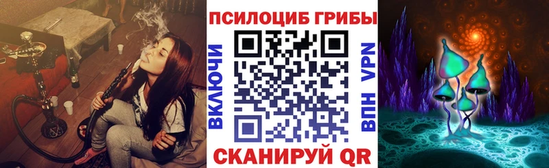 Псилоцибиновые грибы Magic Shrooms  что такое   Собинка 